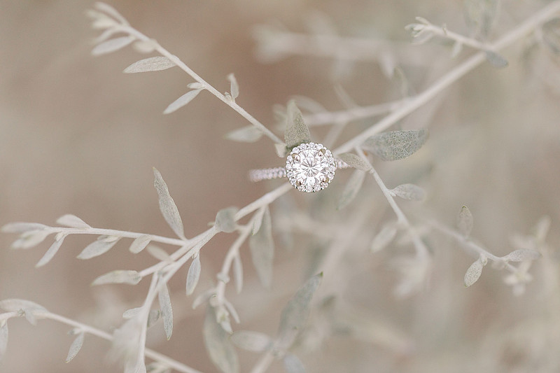 Jennifer B Photography_5681