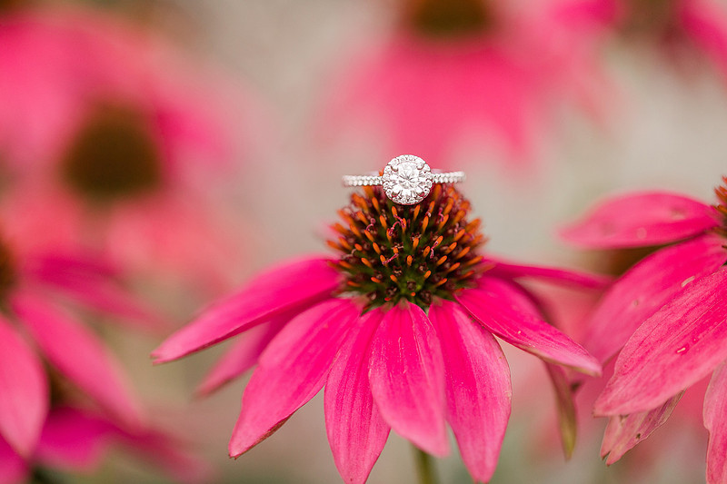 Jennifer B Photography_5682