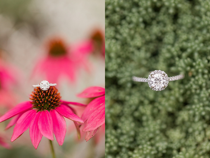 Jennifer B Photography_5683