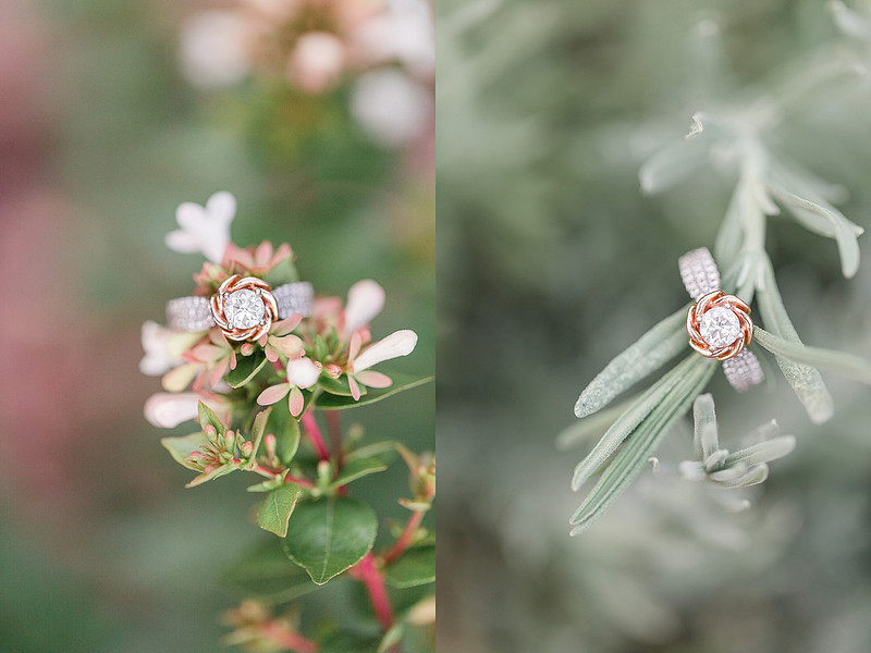 Jennifer B Photography_5730