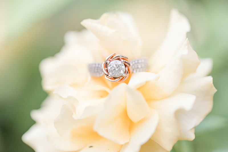 Jennifer B Photography_5731