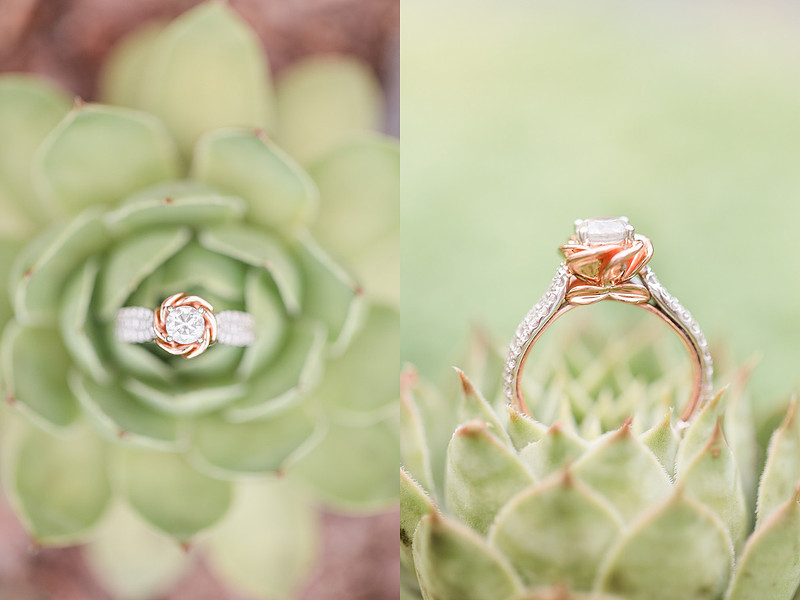 Jennifer B Photography_5732