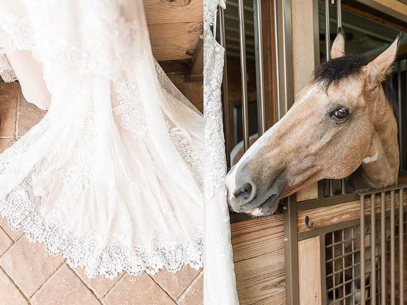 Jennifer B Photography_5895