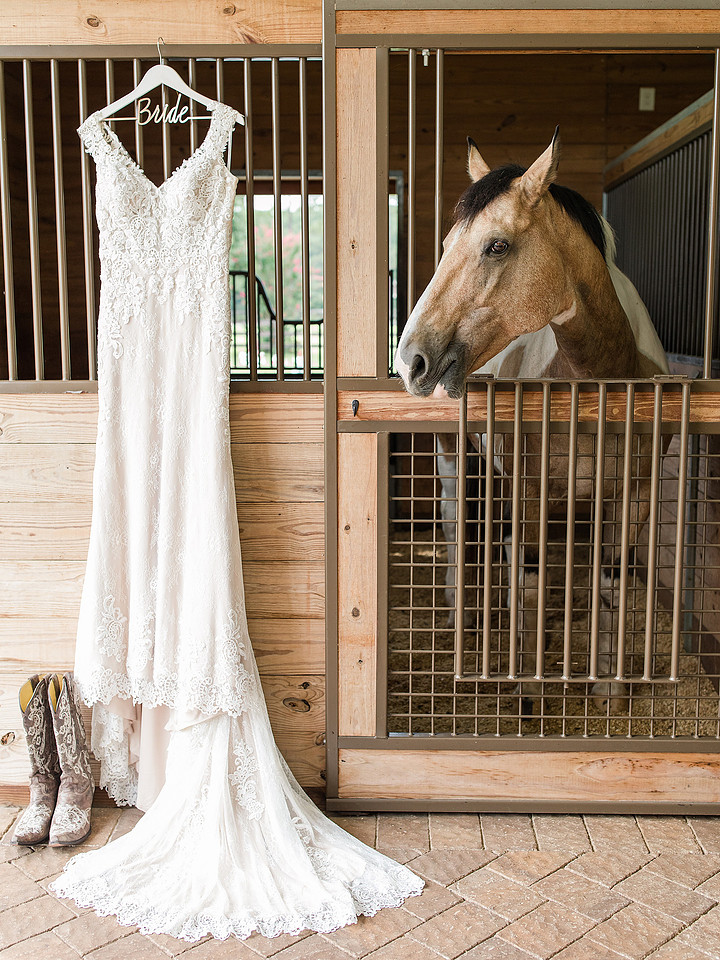 Jennifer B Photography_5896