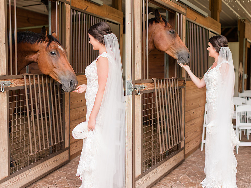 Jennifer B Photography_5929