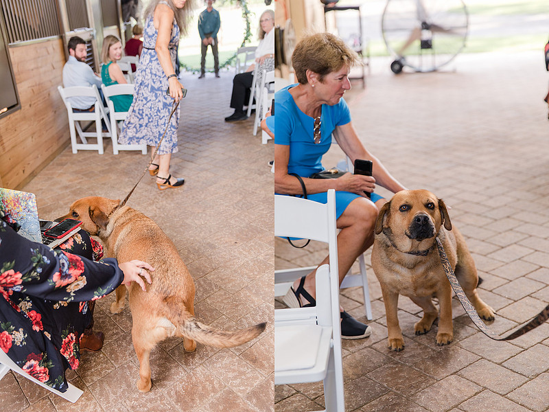 Jennifer B Photography_5941