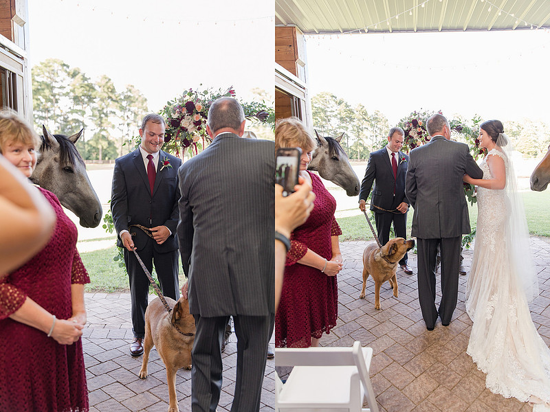 Jennifer B Photography_5944