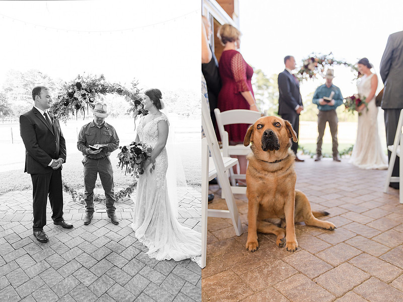 Jennifer B Photography_5955
