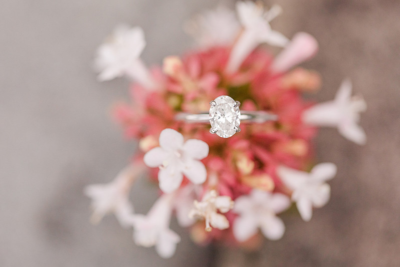 Jennifer B Photography_6123