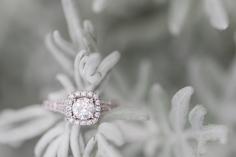 Jennifer B Photography_6485