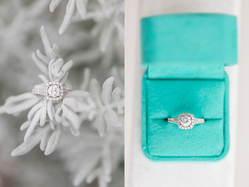 Jennifer B Photography_6486