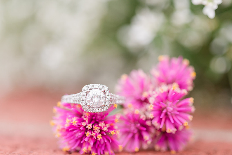 Jennifer B Photography_6487