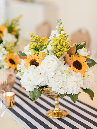Jennifer B Photography_6531