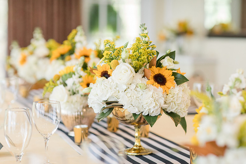Jennifer B Photography_6581