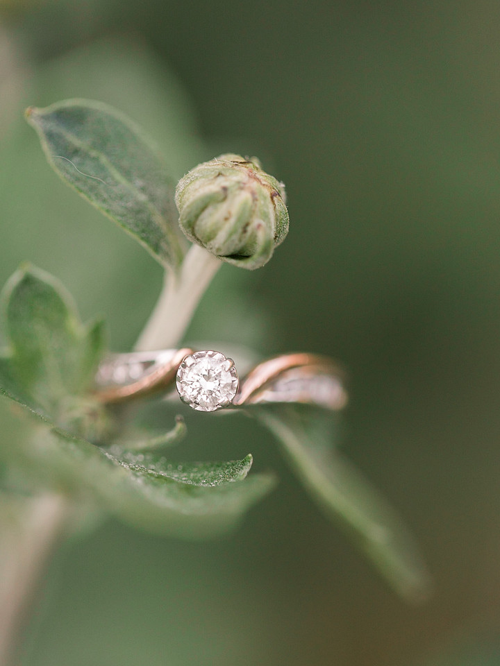 Jennifer B Photography-Cornell-Ithaca Engagement-Davey and Katie-2020-0024