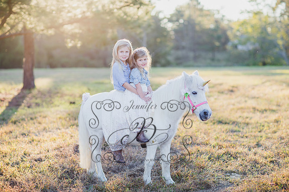 Jennifer B. Photography-Unicorn session 8-31