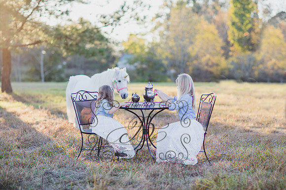Jennifer B. Photography-Unicorn session 8-32