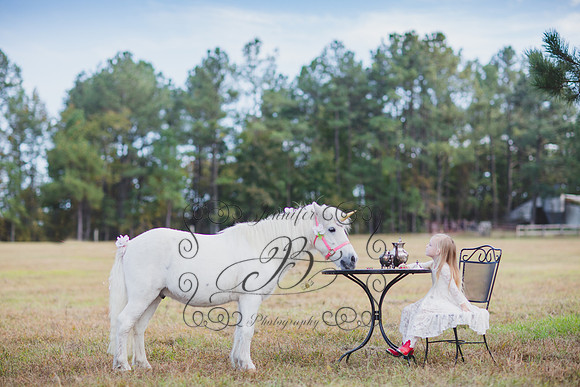 Jennifer B. Photography-Unicorn 5-21