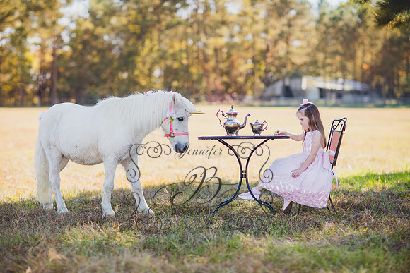 Jennifer B. Photography-Unicorn 1-18