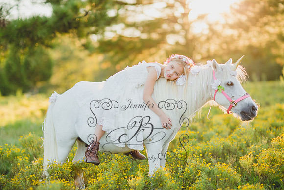 Jennifer B Photography-Unicorn Session 2016-31