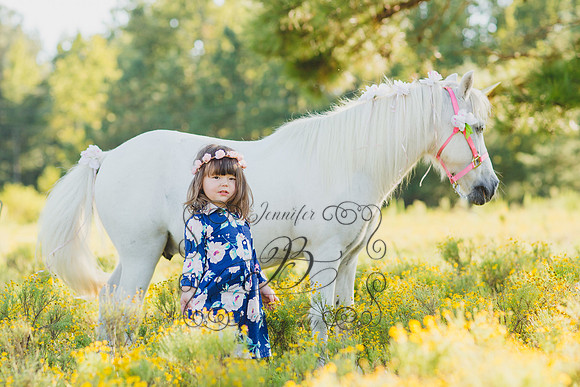 Jennifer B Photography-Unicorn Session 2016-8