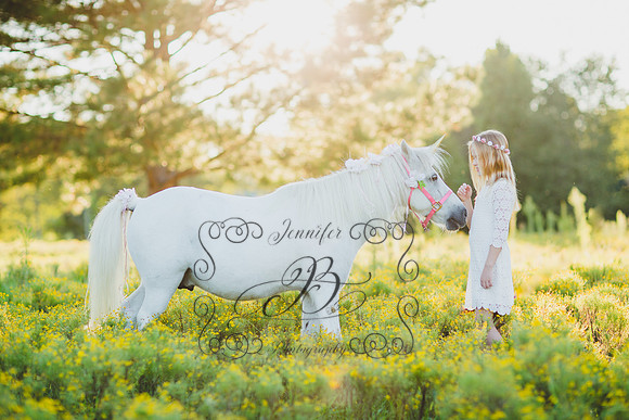 Jennifer B Photography-Unicorn Session 2016-5