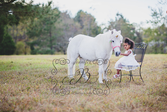 Jennifer B. Photography-Unicorn session 6-19
