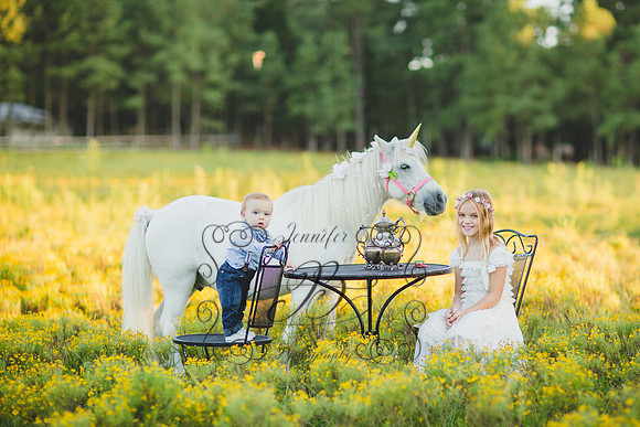 Jennifer B Photography-Unicorn Session 2016-35