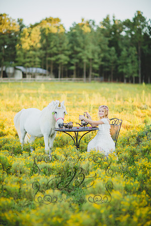 Jennifer B Photography-Unicorn Session 2016-44