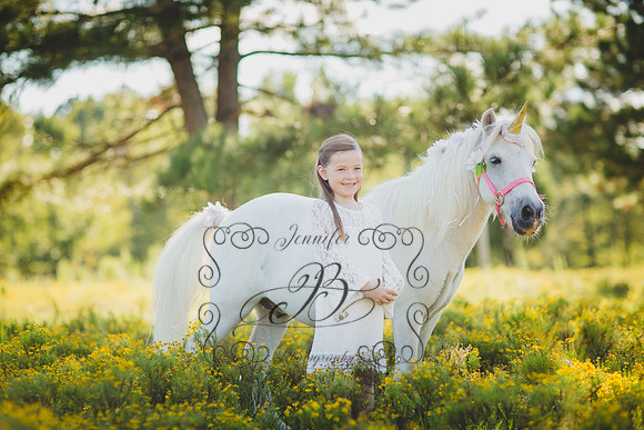 Jennifer B Photography-Unicorn Session 2016-12