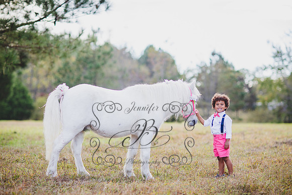Jennifer B. Photography-Unicorn session 6-9