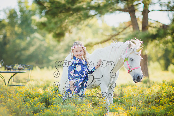 Jennifer B Photography-Unicorn Session 2016-23