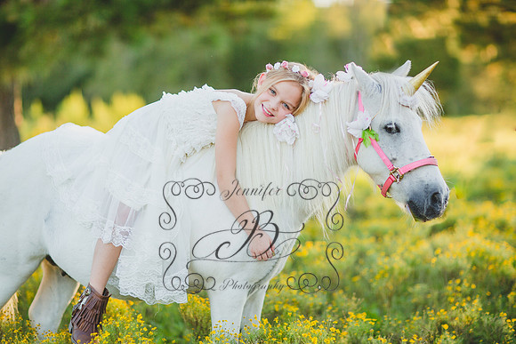 Jennifer B Photography-Unicorn Session 2016-33