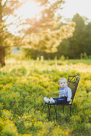 Jennifer B Photography-Unicorn Session 2016-16
