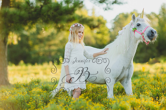 Jennifer B Photography-Unicorn Session 2016-14