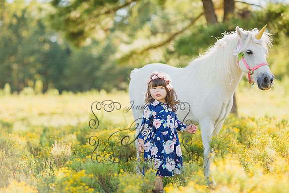 Jennifer B Photography-Unicorn Session 2016-5