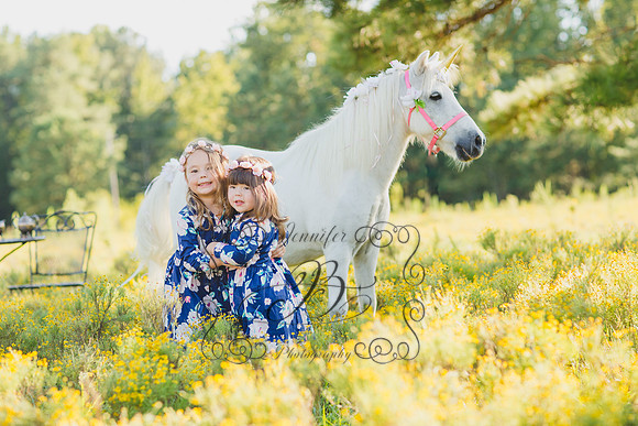 Jennifer B Photography-Unicorn Session 2016-9