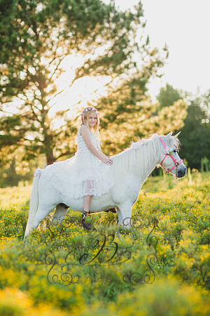 Jennifer B Photography-Unicorn Session 2016-25