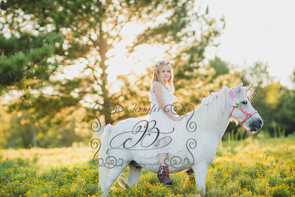 Jennifer B Photography-Unicorn Session 2016-21