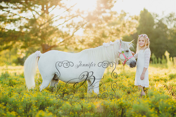 Jennifer B Photography-Unicorn Session 2016-6
