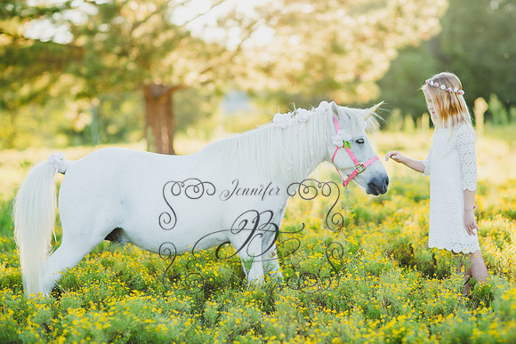 Jennifer B Photography-Unicorn Session 2016-1
