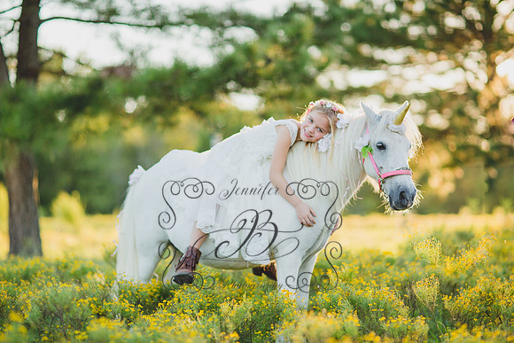 Jennifer B Photography-Unicorn Session 2016-28