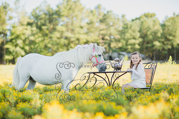Jennifer B Photography-Unicorn Session 2016-24