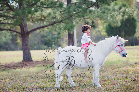 Jennifer B. Photography-Unicorn session 6-11