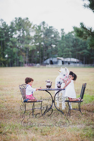 Jennifer B. Photography-Unicorn session 6-23