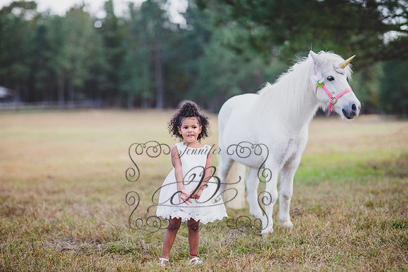 Jennifer B. Photography-Unicorn session 6-17