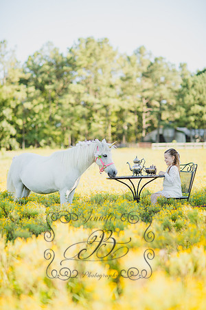Jennifer B Photography-Unicorn Session 2016-26