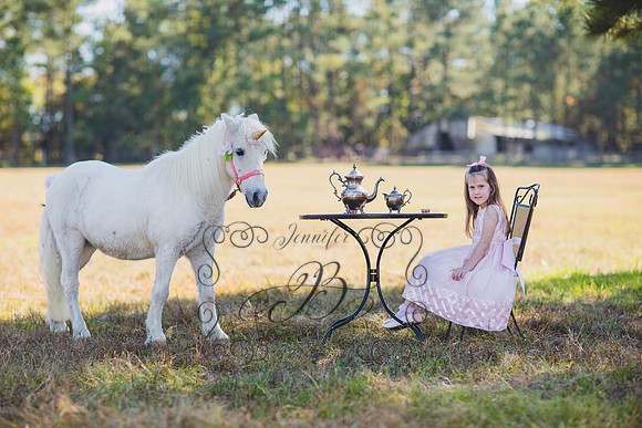 Jennifer B. Photography-Unicorn 1-15