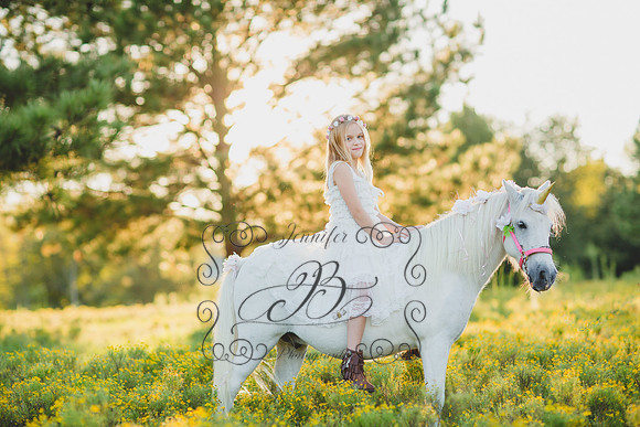 Jennifer B Photography-Unicorn Session 2016-22