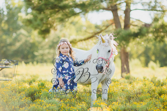 Jennifer B Photography-Unicorn Session 2016-27